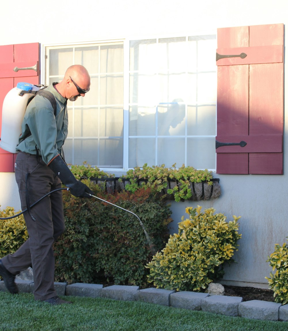 iDeal pest control technician
